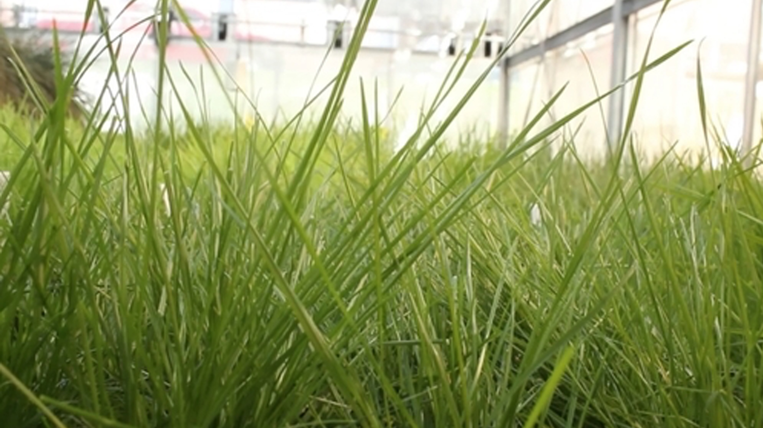 Slater Farms : Commercial Sand, Industrial Sand, Filtration Sand